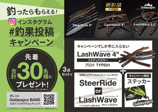 New product release commemorative campaign!