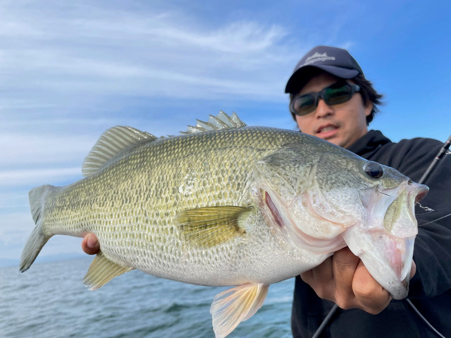 Attacking Lake Biwa in autumn with