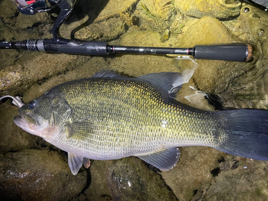 Long slide, you can catch fish after all.