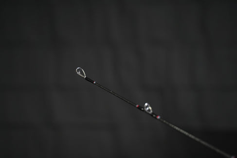 High-strength Fuji Titanium SiC guides