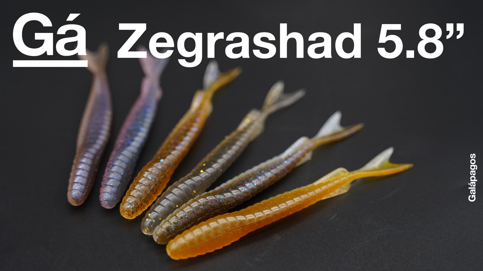 Galápagos BASS 第1弾ソフトルアー Zegrashad 5.8"(ゼグラシャッド) PV
