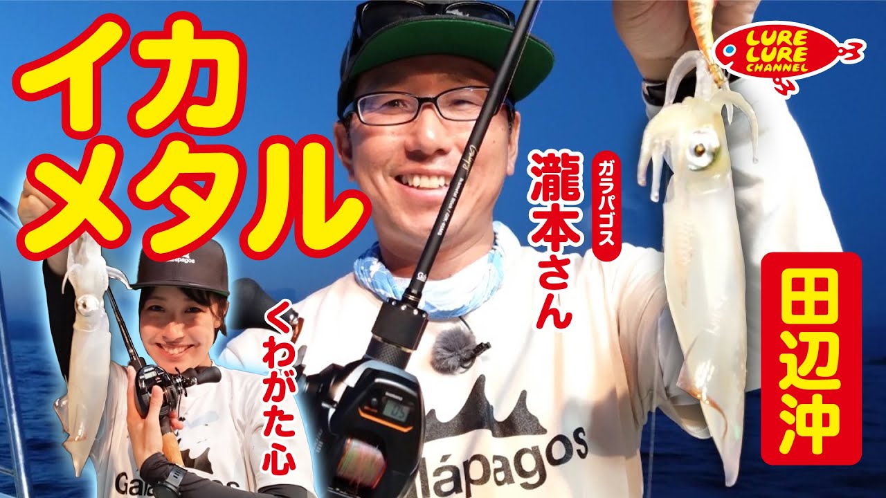 Episode 463 (August 25th) Summer squid metal fishing with Kazutoshi Takimoto off the coast of Tanabe, Wakayama Prefecture