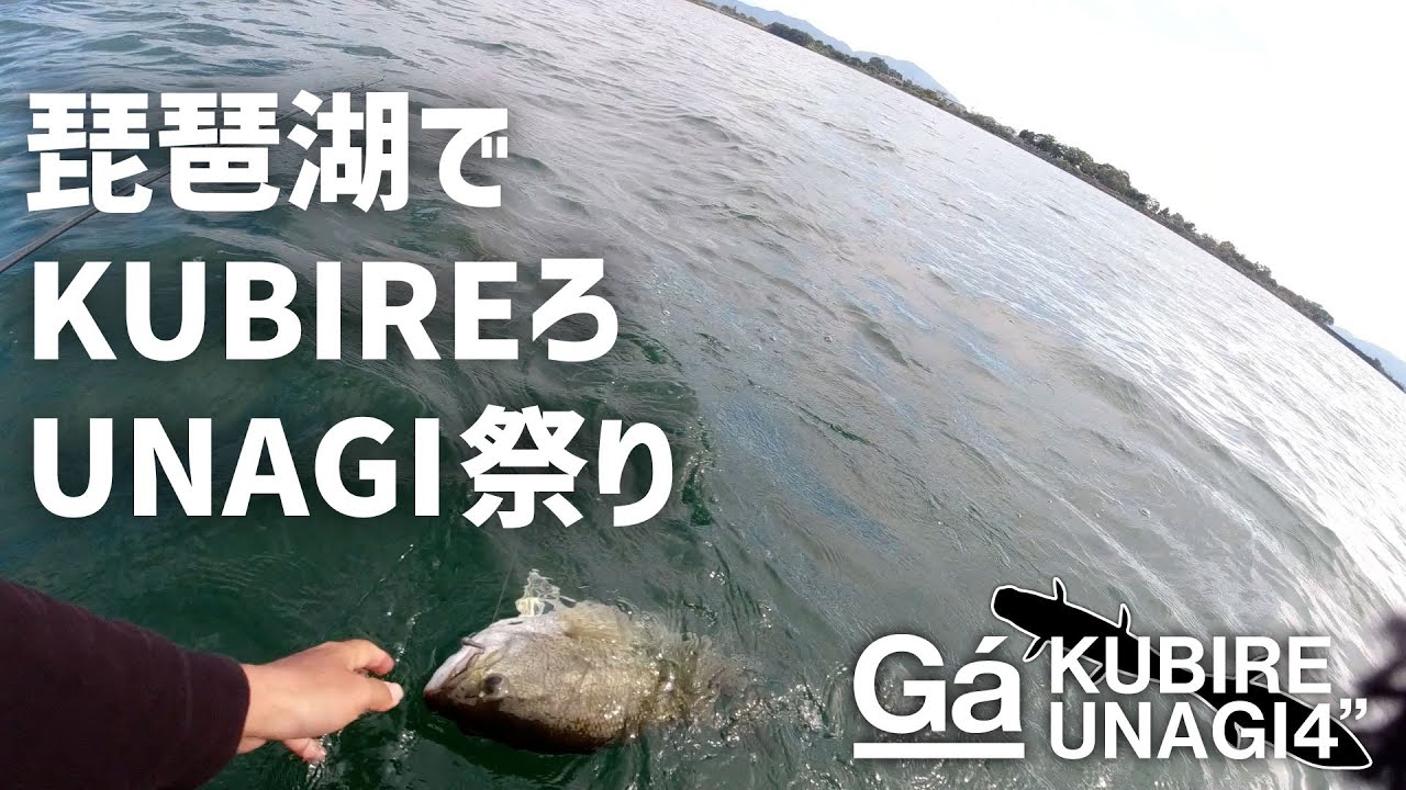 Lure power that draws out bass from major points on Lake Biwa