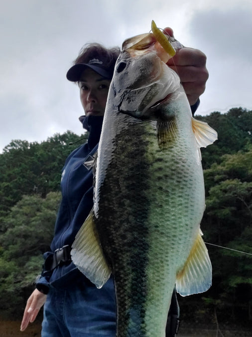 [OKURA STICK2] Capture the difficult mid-level autumn bass❗