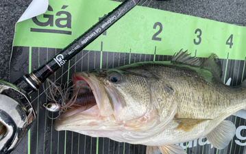 Compatible with Daybreak swim jigs!
