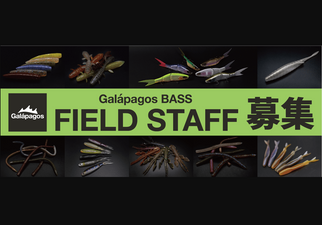 Notice of recruitment of field staff