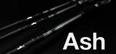 [Bus] Ash has been released.