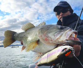 A midwinter hit with the Grace280F!