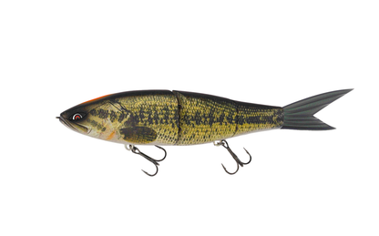 ＃R01 REAL BASS