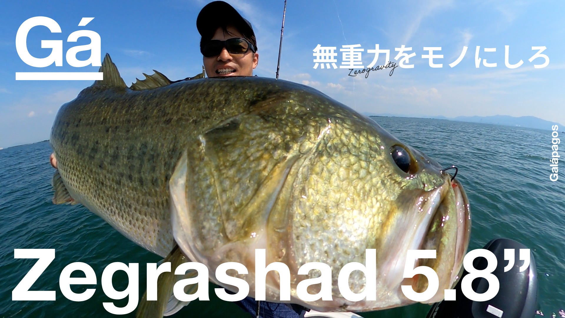 Galápagos BASS Zegrashad 5.8"(ゼグラシャッド)　琵琶湖実釣映像