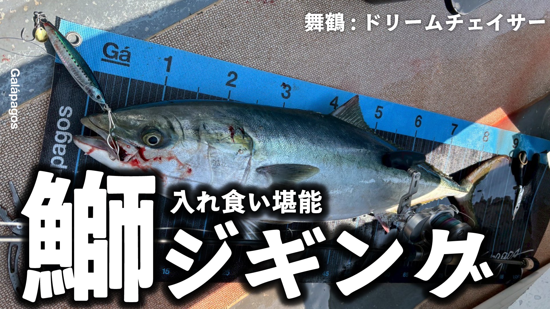 [Yellowtail Jigging] Revealing the God Tuning I Got Addicted to in the Tango Area