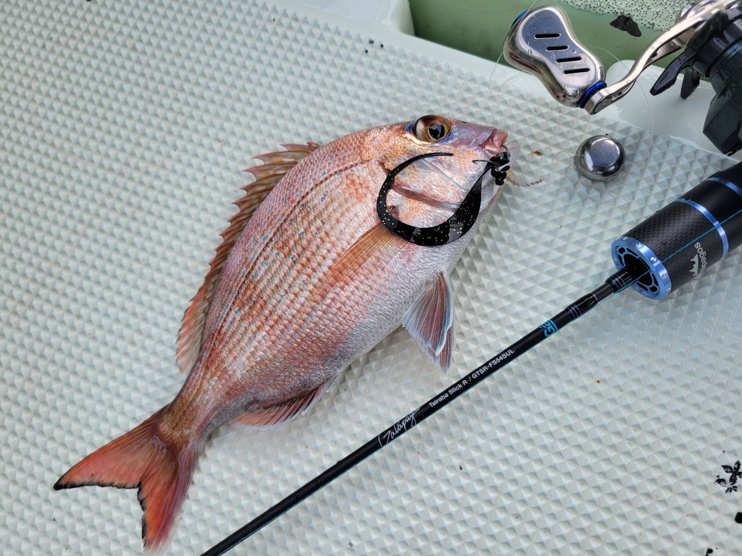 Tairaba StickR – galapagos-fishing