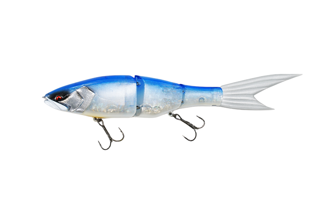 ガラパゴス グレイス 240F #3 ギラハス Grace 240F – galapagos ガラパゴス グレイス 240F #3 ギラハス Grace 240F – galapagos