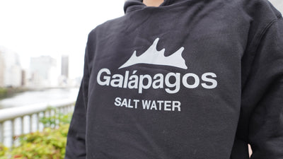 フォトギャラリー画像 1