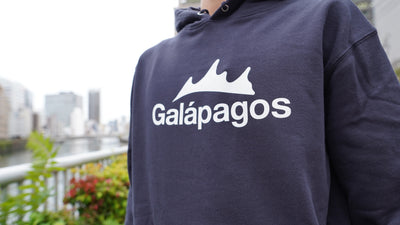 フォトギャラリー画像 3