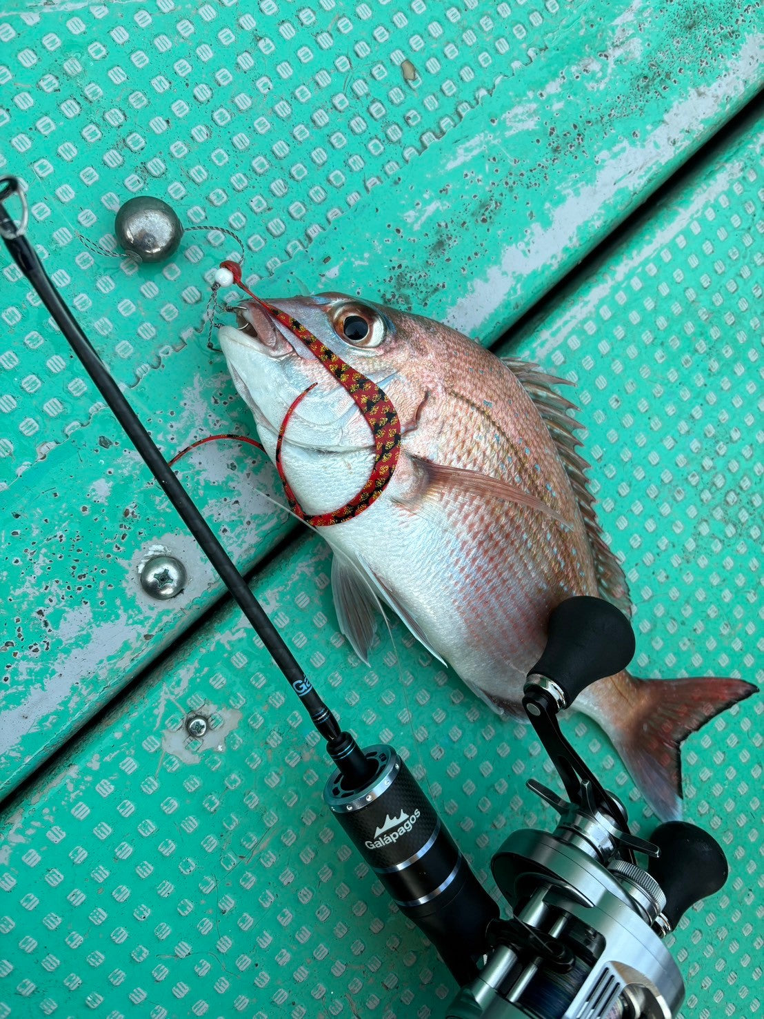 Tairaba StickR – galapagos-fishing