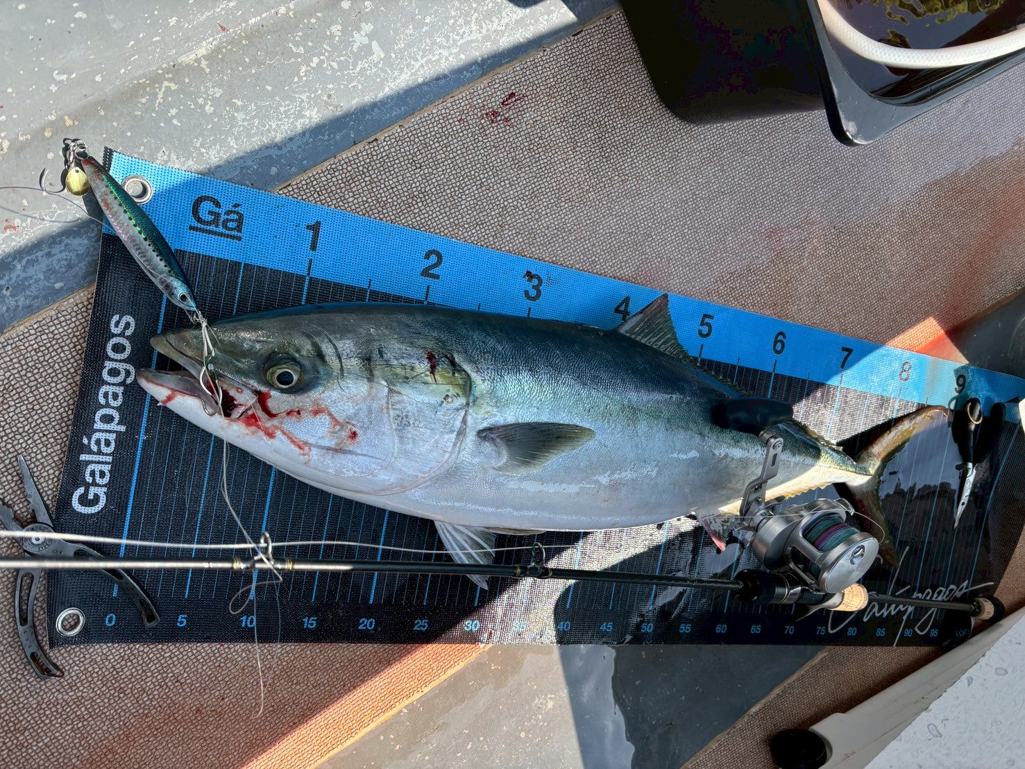 Jigging Stick – galapagos-fishing