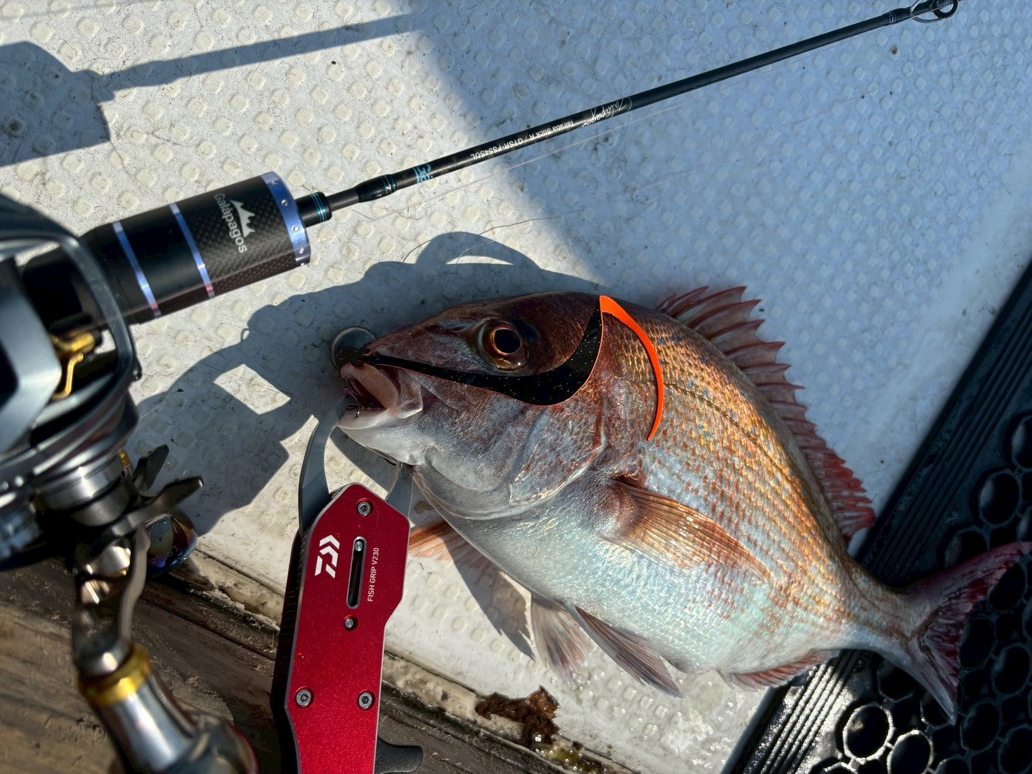 Tairaba StickR – galapagos-fishing