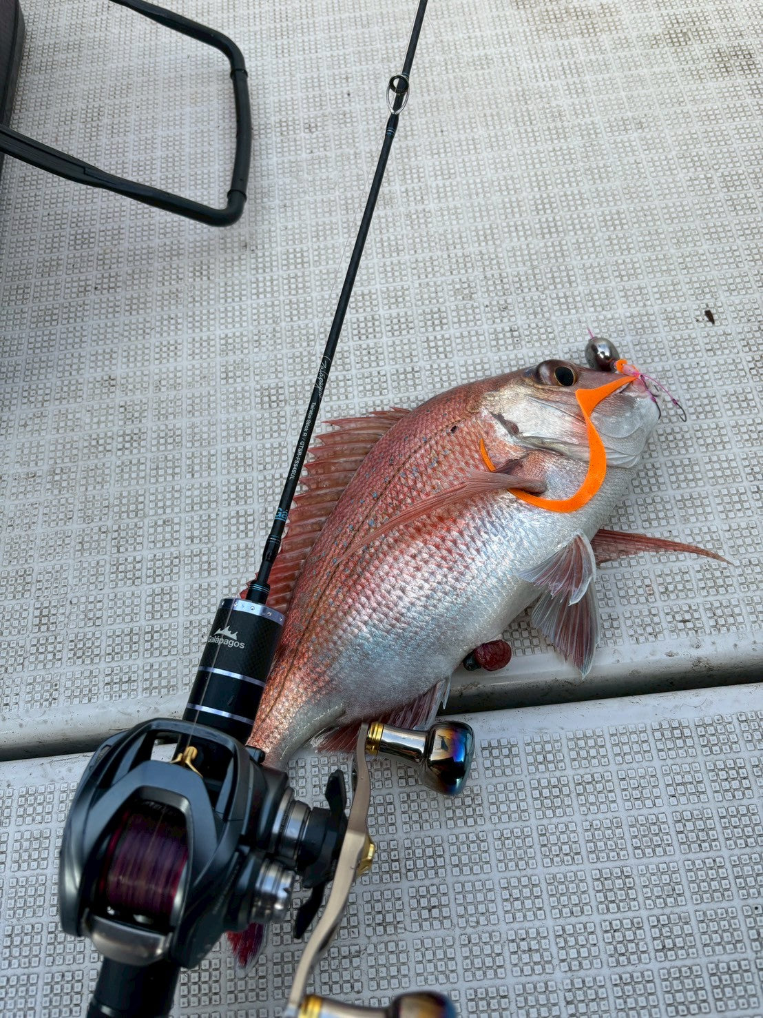Tairaba StickR – galapagos-fishing