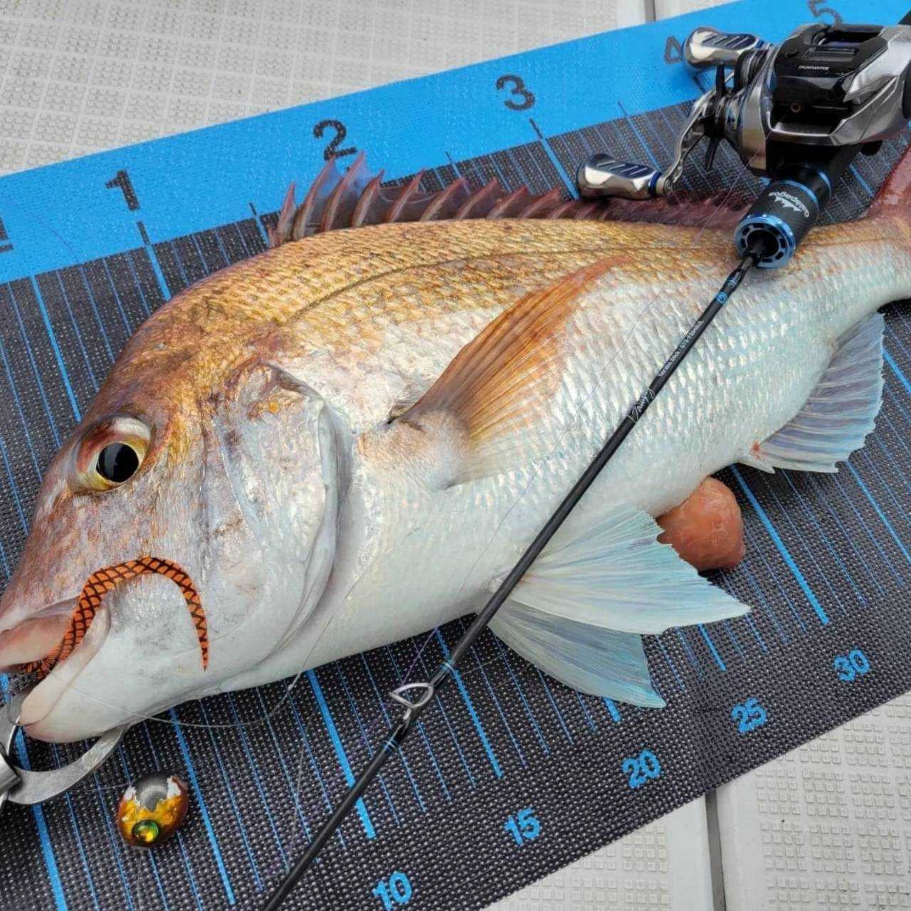 Gal?pagos（ガラパゴス） タイラバスティック GTS-ST65UL Gal?pagos