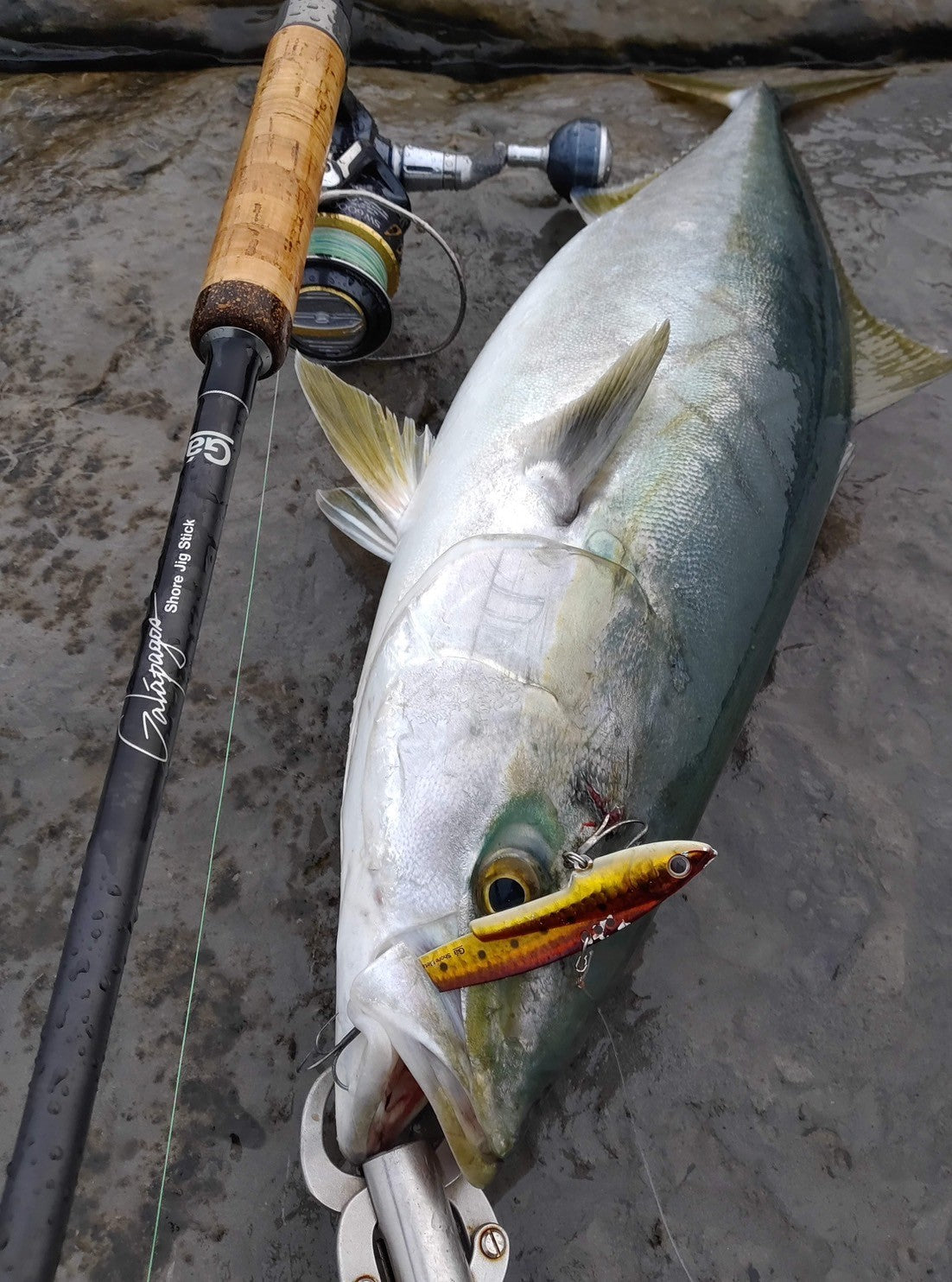 Shore Jig Stick – galapagos-fishing