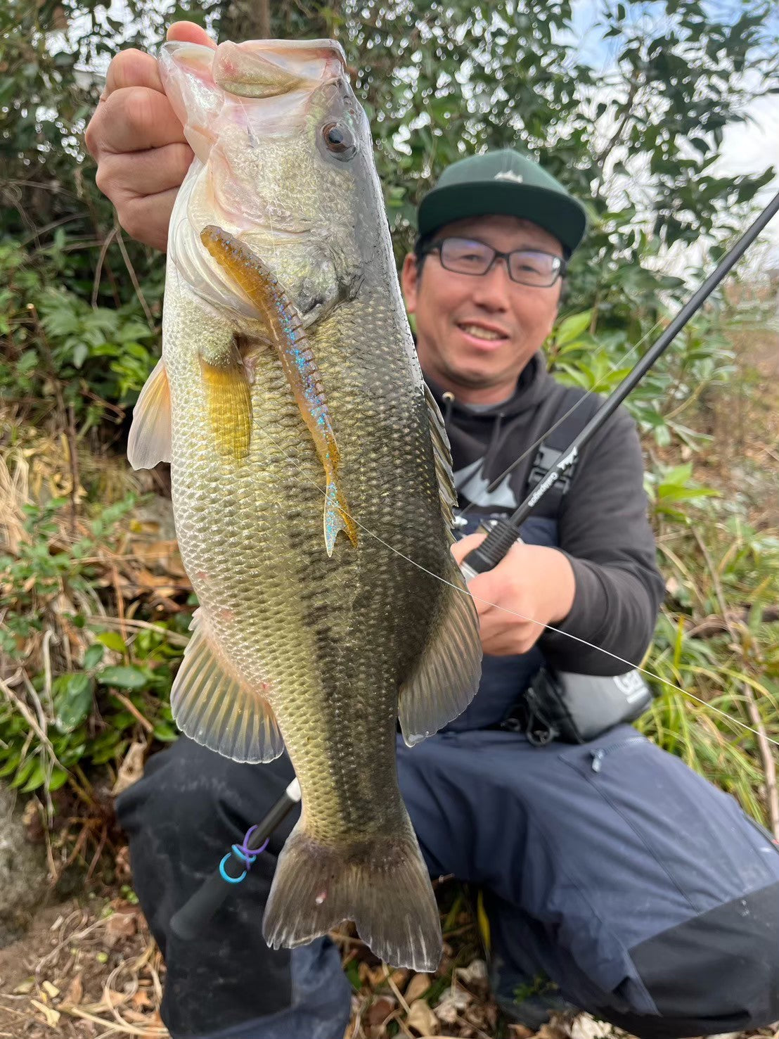 Zegrashad5.8” – galapagos-fishing