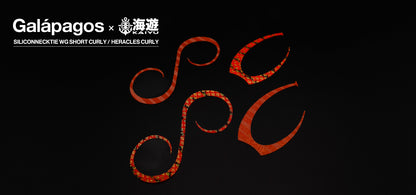 WG HERACLESCURLY・WG SHORTCURLY