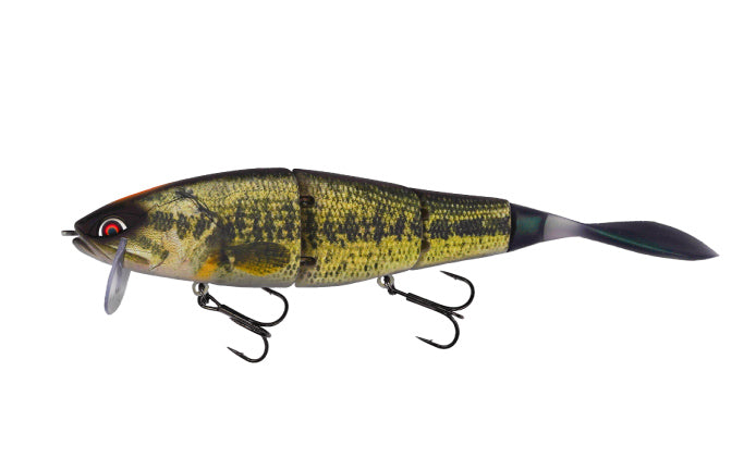 R01_REAL_BASS
