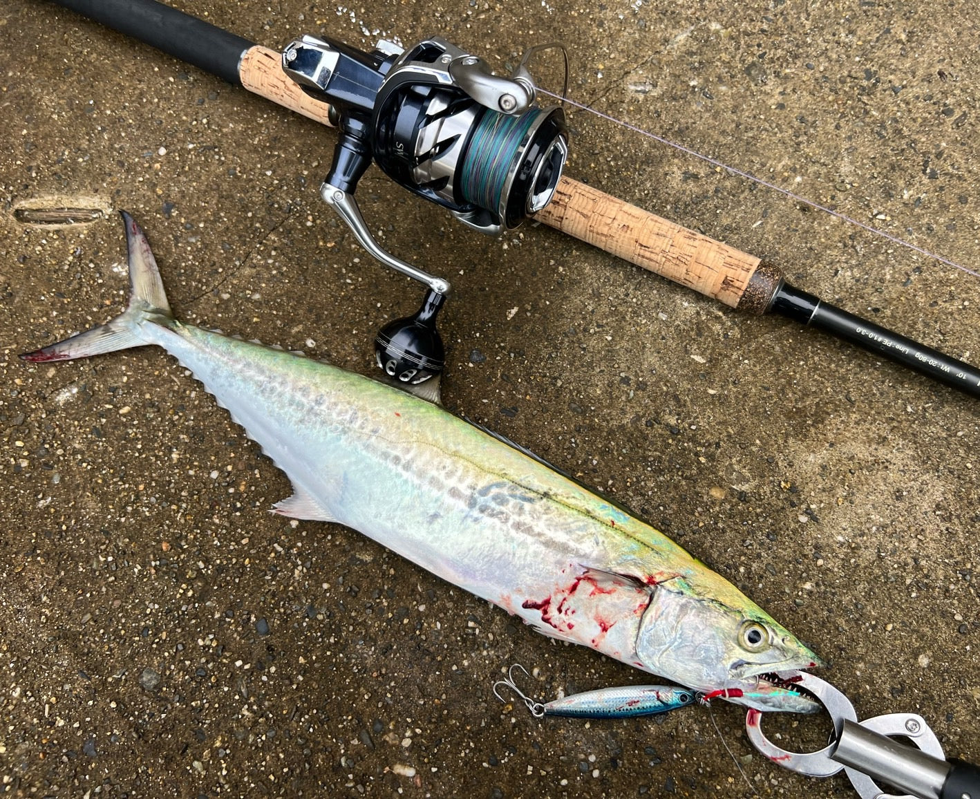 Shore Jig Stick – galapagos-fishing