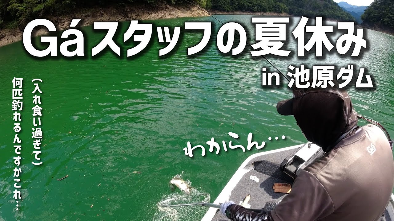 [Summer vacation] Ikehara Dam: Enjoying the constant feeding frenzy of bass catches [I tried it to the fullest]