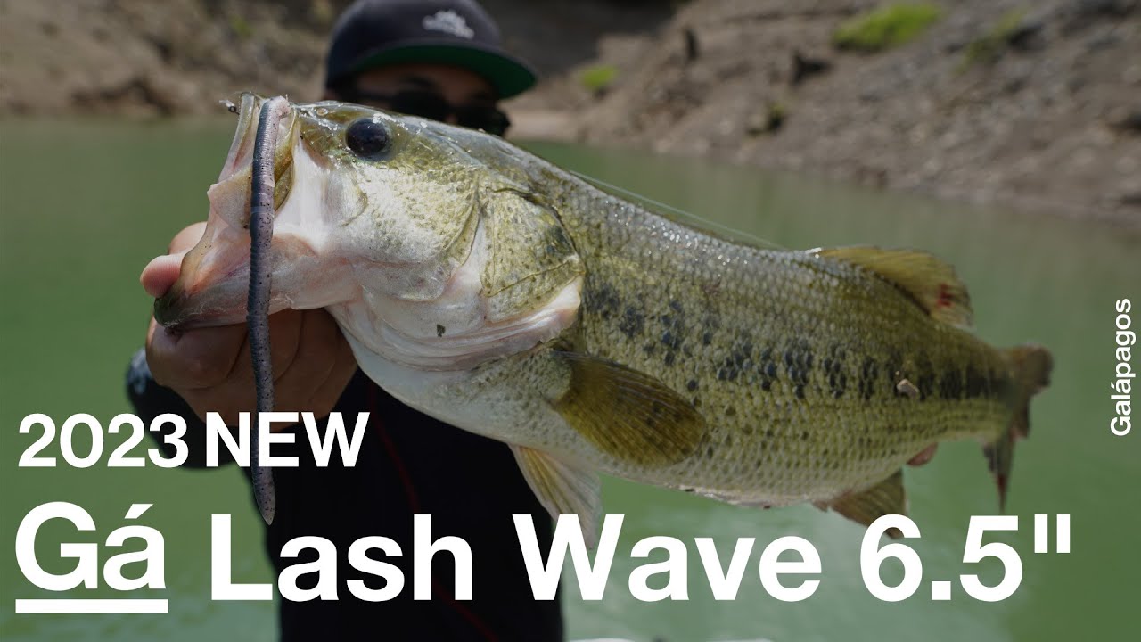 Galápagos 2023NEW Lash Wave6.5