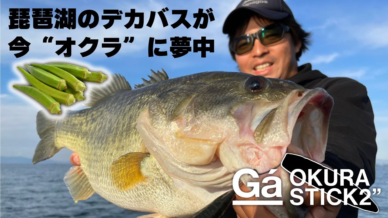 What the bass in Lake Biwa are crazy about right now is okra. [Bass Fishing]