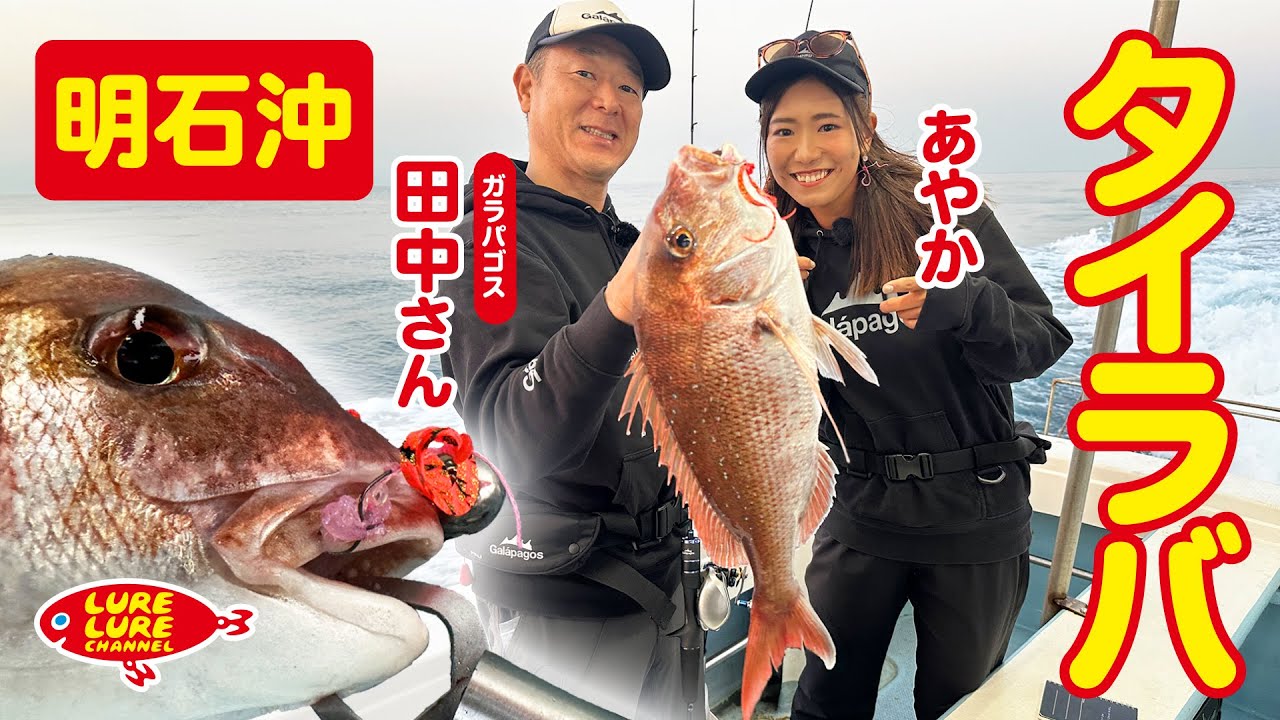 Episode 479 (12/15) Tai rubber fishing off the coast of Akashi with Tanaka from Galapagos!