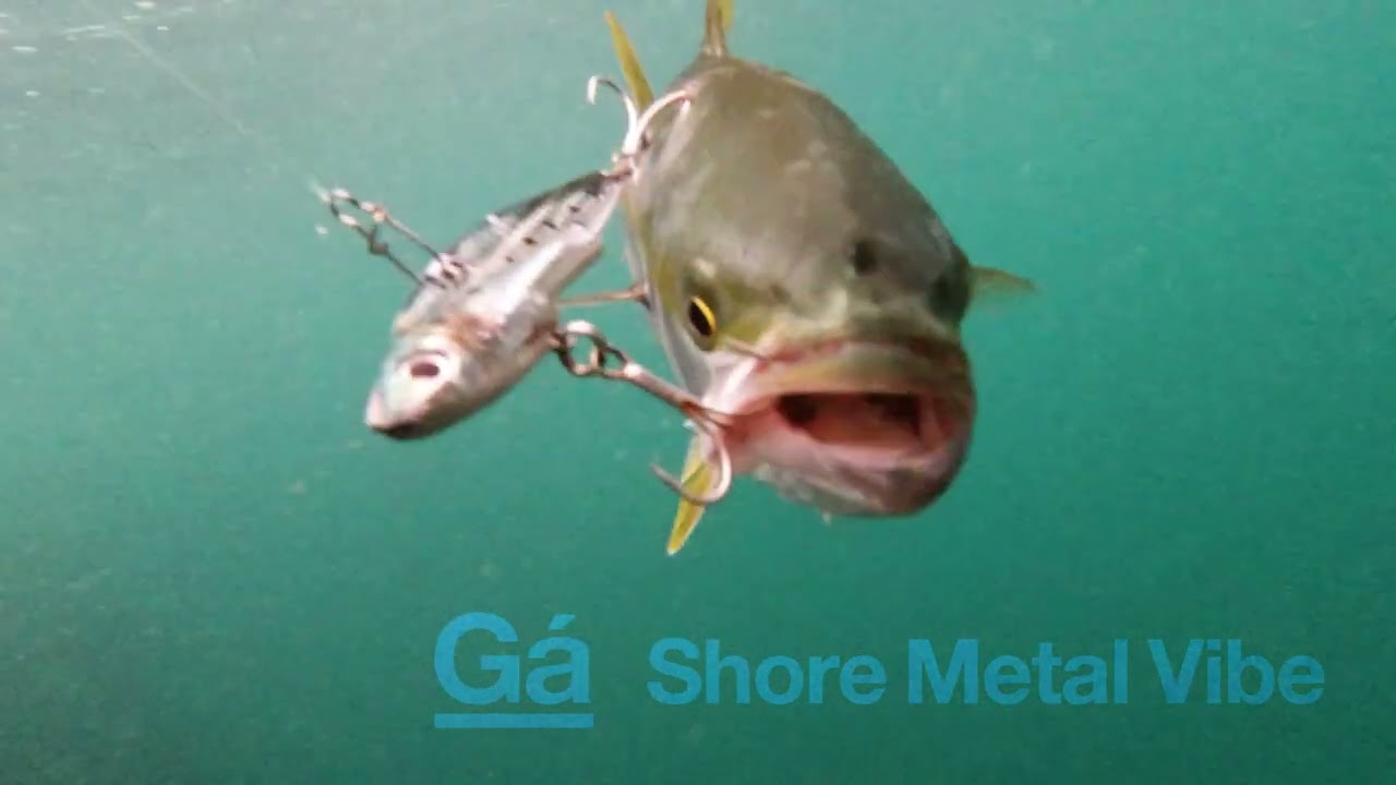 Gá SALT Shore Metal Jig &amp; Shore Metal Vibe Action Movie
